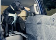 Best 2026 Hatchbacks for Pet Owners – Cargo Area & Seat Covers