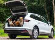 Best 2025 Compact Cars for Pet Owners – Hatchback Cargo