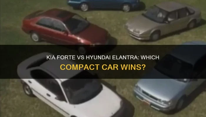 2026 Kia Forte vs Hyundai Elantra – Budget Sedan Showdown